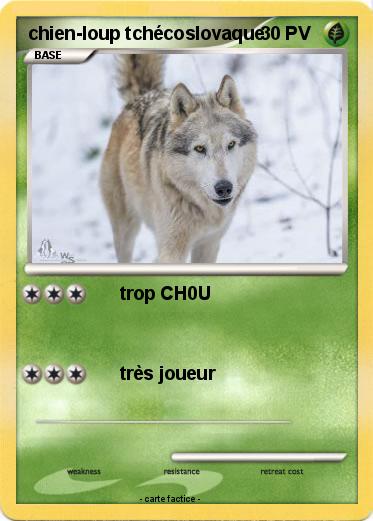 Pokemon chien-loup tchécoslovaque