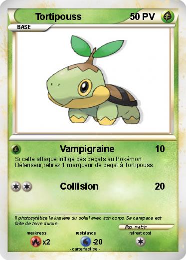 Pokemon Tortipouss