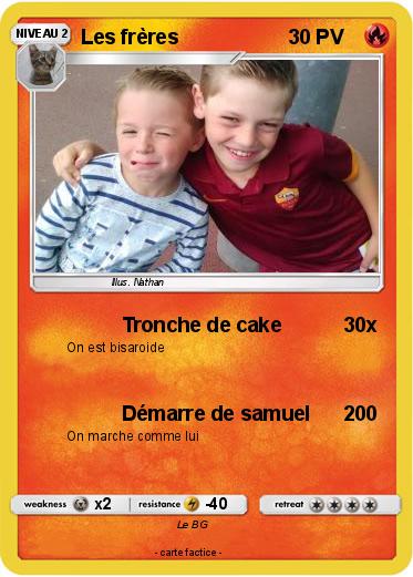 Pokemon Les frères