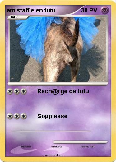 Pokemon am'staffie en tutu