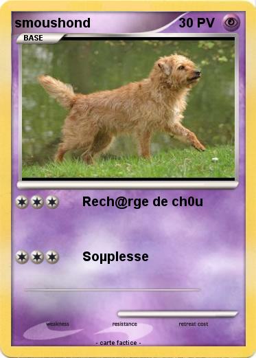 Pokemon smoushond