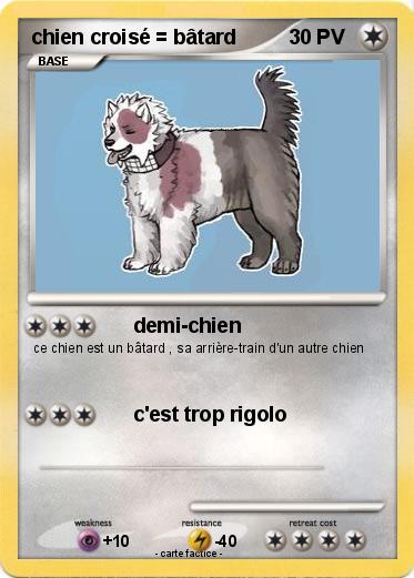 Pokemon chien croisé = bâtard