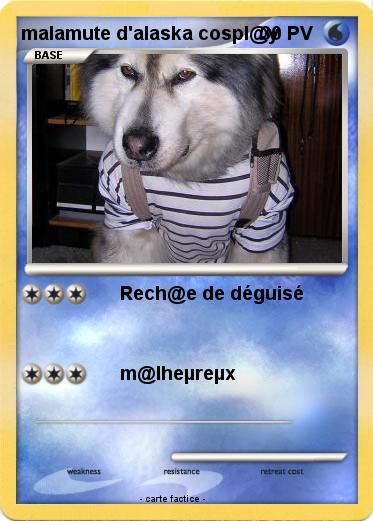Pokemon malamute d'alaska cospl@y