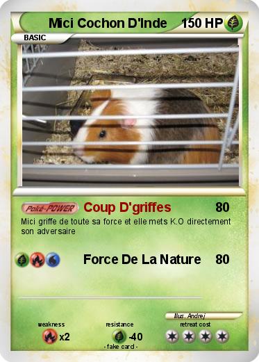 Pokemon Mici Cochon D'Inde
