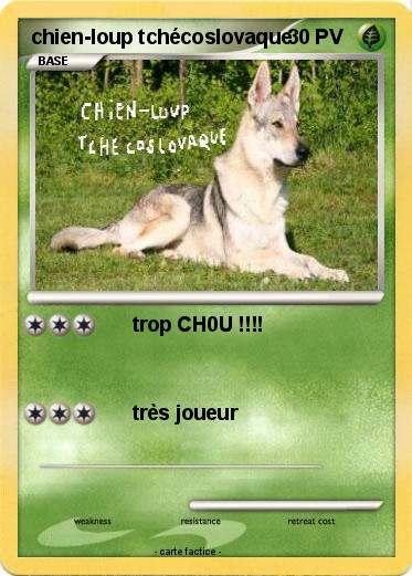 Pokemon chien-loup tchécoslovaque