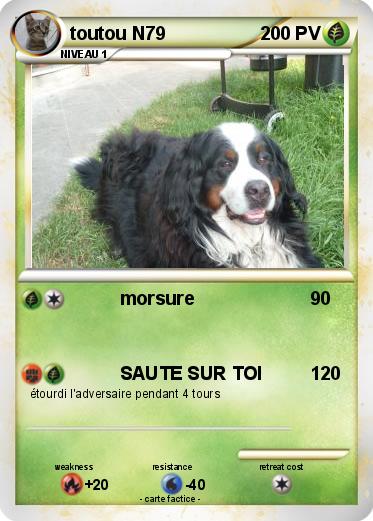 Pokemon toutou N79