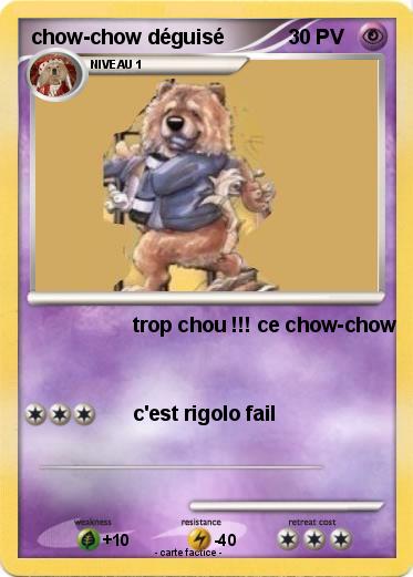 Pokemon chow-chow déguisé