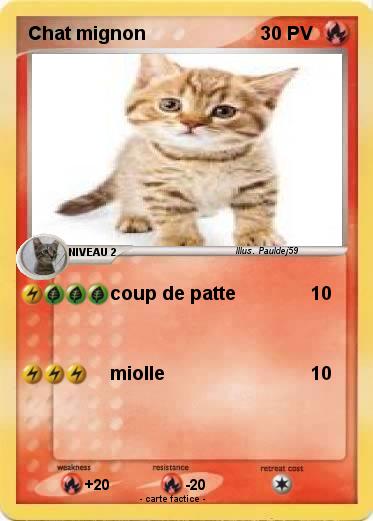 Pokemon Chat mignon