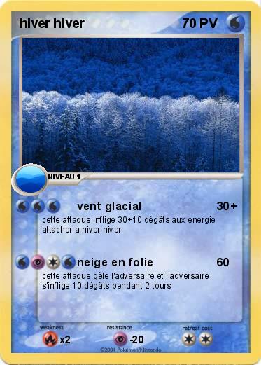 Pokemon hiver hiver