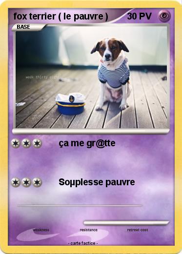 Pokemon fox terrier ( le pauvre )