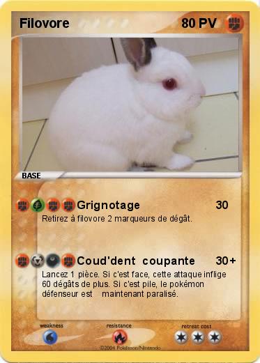 Pokemon Filovore