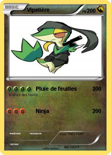 Pokemon Vipelière