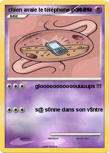 Pokemon chien avale le téléphone portable