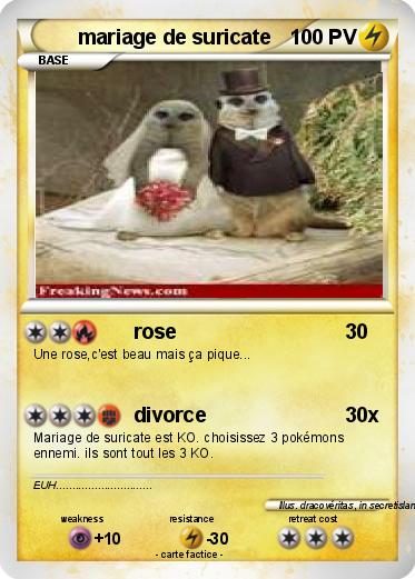 Pokemon mariage de suricate