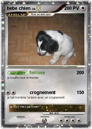 Pokemon bebe chien