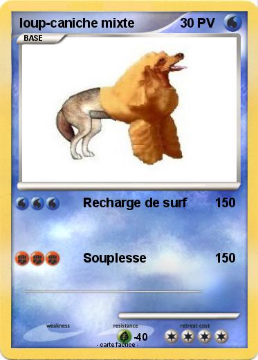 Pokemon loup-caniche mixte