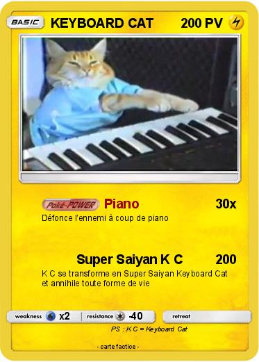 Pokemon KEYBOARD CAT