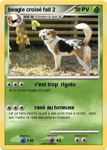 Pokemon beagle croisé fail 2