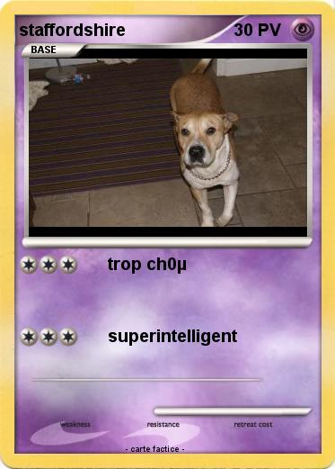 Pokemon staffordshire
