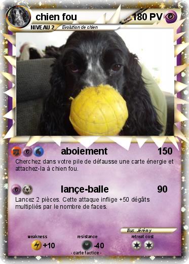 Pokemon chien fou