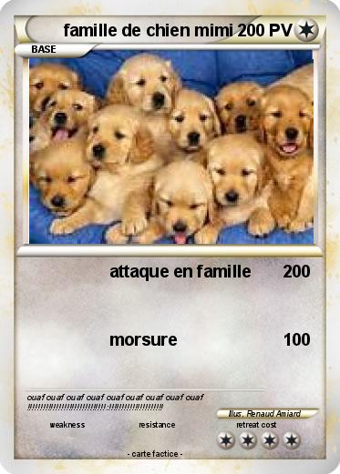 Pokemon famille de chien mimi