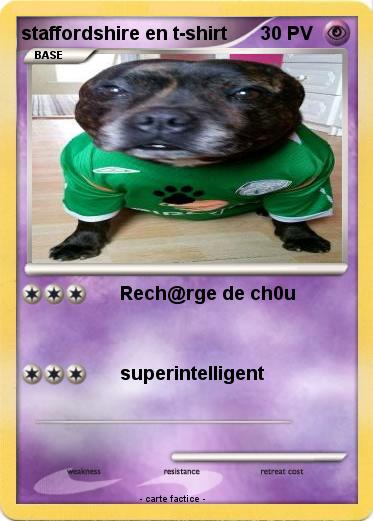 Pokemon staffordshire en t-shirt