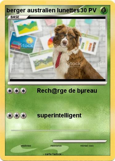 Pokemon berger australien lunettes