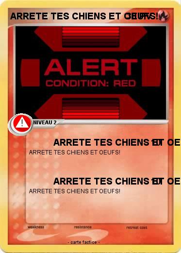 Pokemon ARRETE TES CHIENS ET OEUFS!