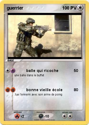 Pokemon guerrier 