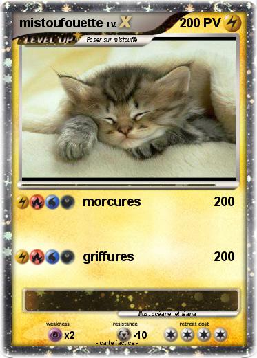 Pokemon mistoufouette