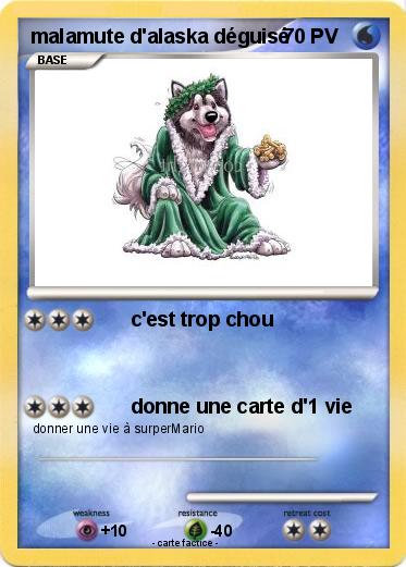 Pokemon malamute d'alaska déguisé
