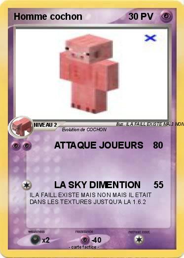 Pokemon Homme cochon