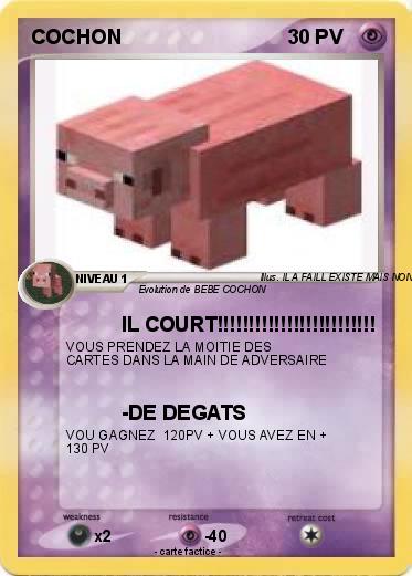 Pokemon COCHON