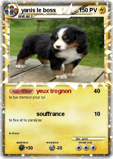 Pokemon yanis le boss