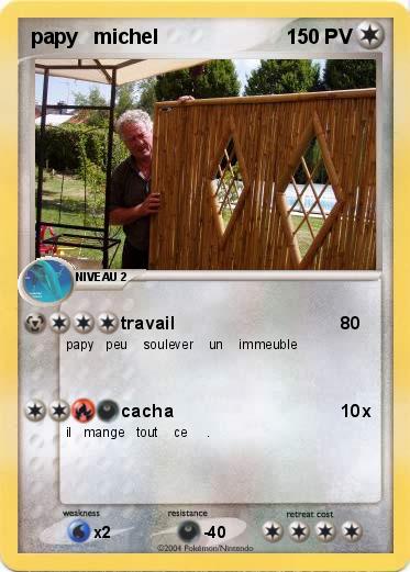 Pokemon papy   michel