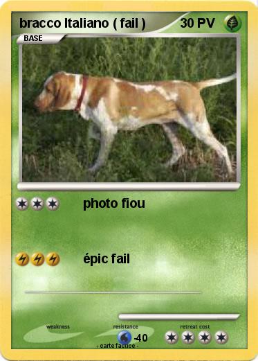 Pokemon bracco Italiano ( fail )
