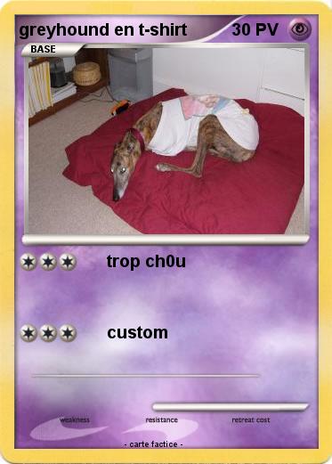 Pokemon greyhound en t-shirt