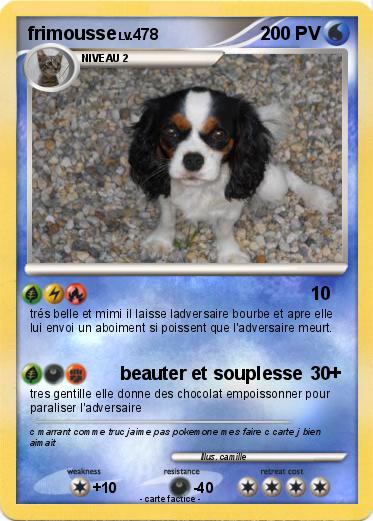 Pokemon frimousse