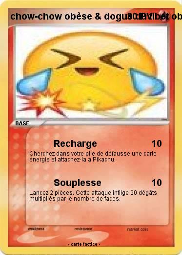 Pokemon chow-chow obèse & dogue du tibet obèse