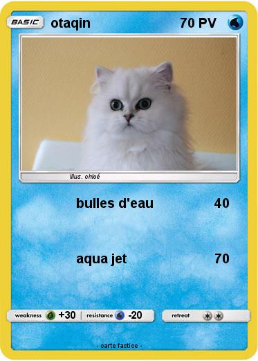 Pokemon otaqin