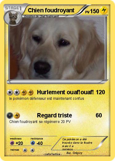 Pokemon Chien foudroyant