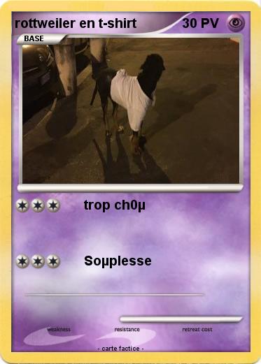 Pokemon rottweiler en t-shirt