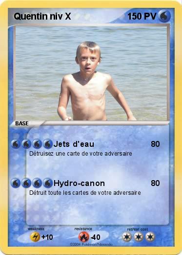 Pokemon Quentin niv X