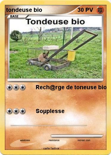 Pokemon tondeuse bio