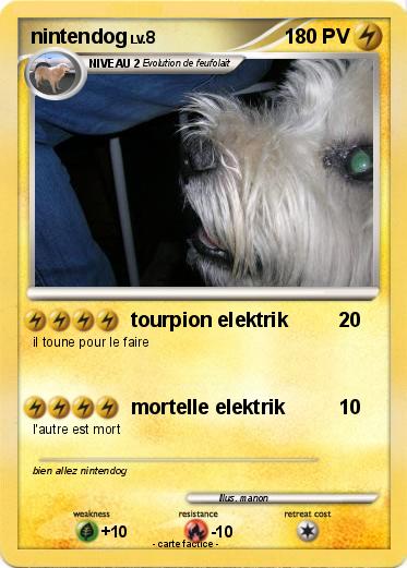 Pokemon nintendog