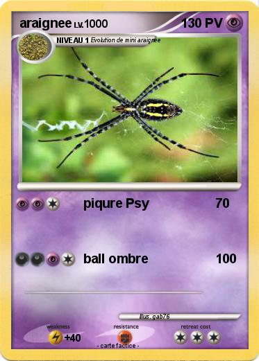 Pokemon araignee