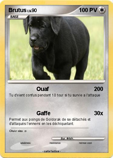 Pokemon Brutus