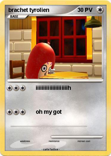 Pokemon brachet tyrolien