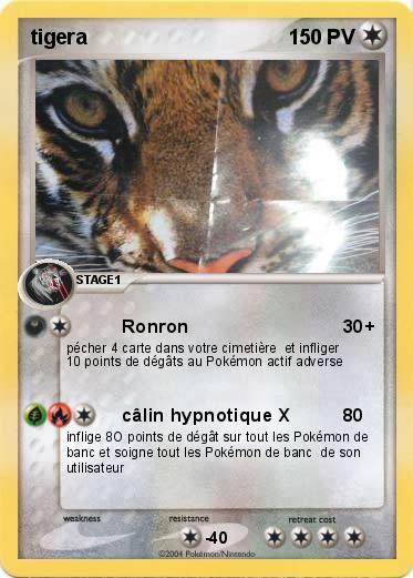 Pokemon tigera
