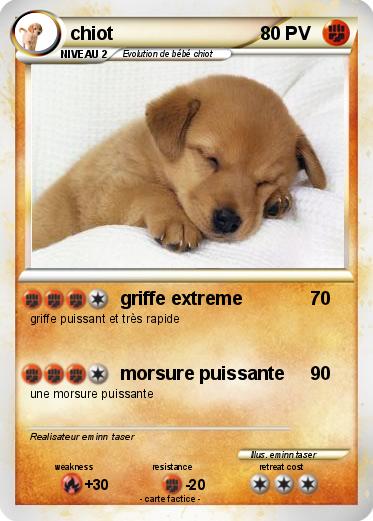 Pokemon chiot